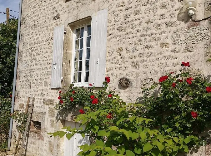 4 Etoiles Avec Insolite - 10 Personnes * Foussais